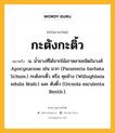 กะตังกะติ้ว หมายถึงอะไร?, คำในภาษาไทย กะตังกะติ้ว หมายถึง น. นํ้ายางที่ได้จากไม้เถาหลายชนิดในวงศ์ Apocynaceae เช่น มวก (Parameria barbata Schum.) กะตังกะติ้ว หรือ คุยช้าง (Willughbeia edulis Roxb.) และ ตังติ้ว (Urceola esculenta Benth.).