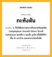 กะทังหัน หมายถึงอะไร?, คำในภาษาไทย กะทังหัน หมายถึง น. ชื่อไม้ต้นขนาดกลางถึงขนาดใหญ่ชนิด Calophyllum thorelii Pierre ในวงศ์ Guttiferae ดอกสีขาว ผลเล็ก รูปไข่ เนื้อไม้ใช้ทําพื้น ฝา เสาบ้าน และเสากระโดงเรือได้.