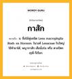 กาสัก หมายถึงอะไร?, คำในภาษาไทย กาสัก หมายถึง น. ชื่อไม้พุ่มชนิด Leea macrophylla Roxb. ex Hornem. ในวงศ์ Leeaceae ใบใหญ่ ใช้ทํายาได้, พญากาสัก เสือนั่งร่ม หรือ ตาลปัตรฤๅษี ก็เรียก.