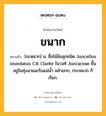 ขนาก หมายถึงอะไร?, คำในภาษาไทย ขนาก หมายถึง [ขะหฺนาก] น. ชื่อไม้ล้มลุกชนิด Juncellus inundatus C.B. Clarke ในวงศ์ Juncaceae ขึ้นอยู่ในทุ่งนาและริมแม่นํ้า คล้ายกก, กระหนาก ก็เรียก.