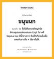 ขนุนนก หมายถึงอะไร?, คำในภาษาไทย ขนุนนก หมายถึง น. ชื่อไม้ต้นขนาดใหญ่ชนิด Palaquiumobovatum Engl. ในวงศ์ Sapotaceae มีนํ้ายางขาว จับเป็นก้อนแข็งเมื่อผสมกับยางอื่น ๆ ใช้ยาเรือได้.