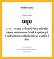 ขยุย หมายถึงอะไร?, คำในภาษาไทย ขยุย หมายถึง [ขะหฺยุย] น. ชื่อปลานํ้าจืดขนาดเล็กชนิด Akysis macronemus ในวงศ์ Akysidae รูปร่างคล้ายปลาแขยง ไม่มีเกล็ด มีหนวด, สามเขี้ยว ก็เรียก.