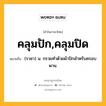 คลุมปัก,คลุมปิด หมายถึงอะไร?, คำในภาษาไทย คลุมปัก,คลุมปิด หมายถึง (ราชา) น. กรวยทำด้วยผ้าปักสำหรับครอบพาน.