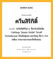 ควีนสิริกิติ์ หมายถึงอะไร?, คำในภาษาไทย ควีนสิริกิติ์ หมายถึง [คฺวีนสิหฺริกิด] น. ชื่อกล้วยไม้ชนิด Cattleya ‘Queen Sirikit’ ในวงศ์ Orchidaceae เป็นพันธุ์ผสม ดอกใหญ่ สีขาว ปากเหลือง สวยงามมากและมีกลิ่นหอม.