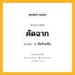 คัดฉาก หมายถึงอะไร?, คำในภาษาไทย คัดฉาก หมายถึง ก. ถือท้ายเรือ.