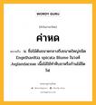 ค่าหด หมายถึงอะไร?, คำในภาษาไทย ค่าหด หมายถึง น. ชื่อไม้ต้นขนาดกลางถึงขนาดใหญ่ชนิด Engelhardtia spicata Blume ในวงศ์ Juglandaceae เนื้อไม้ใช้ทําหีบชาหรือก้านไม้ขีดไฟ.