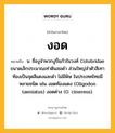 งอด หมายถึงอะไร?, คำในภาษาไทย งอด หมายถึง น. ชื่องูจําพวกงูปี่แก้วในวงศ์ Colubridae ขนาดเล็กประมาณเท่าดินสอดํา ส่วนใหญ่ลําตัวสีเทา ท้องเป็นจุดสีแดงและดํา ไม่มีพิษ ในประเทศไทยมีหลายชนิด เช่น งอดท้องแดง (Oligodon taeniatus) งอดด่าง (O. cinereus).