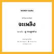 จะเพลิง หมายถึงอะไร?, คำในภาษาไทย จะเพลิง หมายถึง ดู กระดูกค่าง.