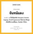 จันทน์แดง หมายถึงอะไร?, คำในภาษาไทย จันทน์แดง หมายถึง น. ชื่อไม้พุ่มชนิด Dracaena loureiri Gagnep. ในวงศ์ Agavaceae ขึ้นตามเขาหินปูน เนื้อไม้ที่สารลงมีสีแดง, จันทน์ผา ก็เรียก.