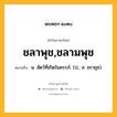 ชลาพุช,ชลามพุช หมายถึงอะไร?, คำในภาษาไทย ชลาพุช,ชลามพุช หมายถึง น. สัตว์ที่เกิดในครรภ์. (ป.; ส. ชรายุช).