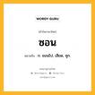 ซอน หมายถึงอะไร?, คำในภาษาไทย ซอน หมายถึง ก. ชอนไป, เสียด, ซุก.