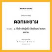 ดอกมะขาม หมายถึงอะไร?, คำในภาษาไทย ดอกมะขาม หมายถึง น. ชื่อข้าวพันธุ์หนึ่ง สีเหลืองคล้ายดอกมะขาม.