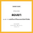 ดองยา หมายถึงอะไร?, คำในภาษาไทย ดองยา หมายถึง ก. แช่เครื่องยาไว้ในของเหลวมีเหล้าเป็นต้น.