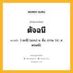 ตัจฉนี หมายถึงอะไร?, คำในภาษาไทย ตัจฉนี หมายถึง [-ฉะนี] (แบบ) น. ผึ่ง, ขวาน. (ป.; ส. ตกฺษณี).