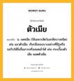 ตัวเมีย หมายถึงอะไร?, คำในภาษาไทย ตัวเมีย หมายถึง น. เพศเมีย (ใช้เฉพาะสัตว์และพืชบางชนิด) เช่น แมวตัวเมีย; เรียกสิ่งของบางอย่างที่มีรูหรือขอรับให้สิ่งอื่นเกาะหรือสอดเข้าได้ เช่น กระเบื้องตัวเมีย นอตตัวเมีย.