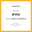 ตากบ หมายถึงอะไร?, คำในภาษาไทย ตากบ หมายถึง น. เทียนตากบ. (ดู เทียนตากบ).