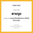 ตายขุย หมายถึงอะไร?, คำในภาษาไทย ตายขุย หมายถึง ก. ออกดอกเป็นเมล็ดแล้วตาย (ใช้แก่ไม้ในจําพวกไผ่).