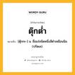 ตุ๊กต่ำ หมายถึงอะไร?, คำในภาษาไทย ตุ๊กต่ำ หมายถึง [ตุ๊กกะ-] น. ชื่อแร่ชนิดหนึ่งสีดําเหมือนนิล. (ปรัดเล).