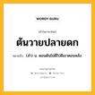 ต้นวายปลายดก หมายถึงอะไร?, คำในภาษาไทย ต้นวายปลายดก หมายถึง (สํา) น. ตอนต้นไม่ดีไปดีเอาตอนหลัง.