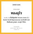 ทองอุไร หมายถึงอะไร?, คำในภาษาไทย ทองอุไร หมายถึง น. ชื่อไม้พุ่มชนิด Tecoma stans (L.) Kunth ในวงศ์ Bignoniaceae ขอบใบหยัก ดอกสีเหลืองสด รูปแตร, พวงอุไร ก็เรียก.