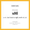 นลินี หมายถึงอะไร?, คำในภาษาไทย นลินี หมายถึง [นะ-] (แบบ) น. หมู่บัว, สระบัว. (ป., ส.).