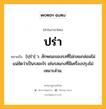 ปร่า หมายถึงอะไร?, คำในภาษาไทย ปร่า หมายถึง [ปฺร่า] ว. ลักษณะของรสที่ไม่กลมกล่อมไม่แน่ชัดว่าเป็นรสอะไร เช่นรสแกงที่มีเครื่องปรุงไม่เหมาะส่วน.