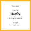 ปลาบิน หมายถึงอะไร?, คำในภาษาไทย ปลาบิน หมายถึง ดู นกกระจอก ๒.