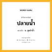 ปลายน้ำ หมายถึงอะไร?, คำในภาษาไทย ปลายน้ำ หมายถึง น. สุดลํานํ้า.