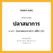 ปลาสนาการ หมายถึงอะไร?, คำในภาษาไทย ปลาสนาการ หมายถึง [ปะลาดสะนากาน] ก. หนีไป. (ป.).