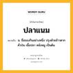 ปลาแนม หมายถึงอะไร?, คำในภาษาไทย ปลาแนม หมายถึง น. ชื่อของกินอย่างหนึ่ง ปรุงด้วยข้าวตากคั่วป่น เนื้อปลา หนังหมู เป็นต้น.