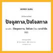 ปัจจุสกาล,ปัจโจสกาล หมายถึงอะไร?, คำในภาษาไทย ปัจจุสกาล,ปัจโจสกาล หมายถึง [ปัดจุดสะกาน, ปัดโจสะ-] น. เวลาเช้ามืด. (ป.).