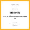 ผละงาน หมายถึงอะไร?, คำในภาษาไทย ผละงาน หมายถึง ก. ละทิ้งการงานไปโดยกะทันหัน, นัดหยุดงาน.