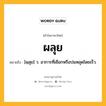 ผลุย หมายถึงอะไร?, คำในภาษาไทย ผลุย หมายถึง [ผฺลุย] ว. อาการที่เชือกหรือปมหลุดโดยเร็ว.