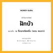 ฝักบัว หมายถึงอะไร?, คำในภาษาไทย ฝักบัว หมายถึง น. ชื่อนกชนิดหนึ่ง. (พจน. ๒๔๙๓).