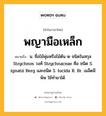 พญามือเหล็ก หมายถึงอะไร?, คำในภาษาไทย พญามือเหล็ก หมายถึง น. ชื่อไม้พุ่มหรือไม้ต้น ๒ ชนิดในสกุล Strychnos วงศ์ Strychnaceae คือ ชนิด S. ignatii Berg และชนิด S. lucida R. Br. เมล็ดมีพิษ ใช้ทํายาได้.