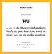 พบ หมายถึงอะไร?, คำในภาษาไทย พบ หมายถึง ก. เห็น (ใช้แก่อาการเห็นซึ่งต่อเนื่องกับกิริยาอื่น เช่น ขุดพบ ค้นพบ ไปพบ หาพบ), ปะ, ประสบ, เจอะ, เจอ, เช่น พบเพื่อน พบอุปสรรค.