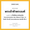 พระเจ้าห้าพระองค์ หมายถึงอะไร?, คำในภาษาไทย พระเจ้าห้าพระองค์ หมายถึง น. ชื่อไม้ต้นขนาดใหญ่ชนิด Dracontomelon dao (Blanco) Merr. et Rolfe ในวงศ์ Anacardiaceae ดอกเล็ก สีขาว.