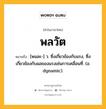 พลวัต หมายถึงอะไร?, คำในภาษาไทย พลวัต หมายถึง [พนละ-] ว. ซึ่งเกี่ยวข้องกับแรง, ซึ่งเกี่ยวข้องกับผลของแรงเช่นการเคลื่อนที่. (อ. dynamic).