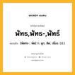 พัทธ,พัทธ-,พัทธ์ หมายถึงอะไร?, คำในภาษาไทย พัทธ,พัทธ-,พัทธ์ หมายถึง [พัดทะ-, พัด] ก. ผูก, ติด, เนื่อง. (ป.).