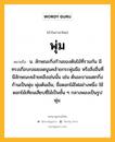 พุ่ม หมายถึงอะไร?, คำในภาษาไทย พุ่ม หมายถึง น. ลักษณะกิ่งก้านของต้นไม้ที่รวมกัน มีทรงเกือบกลมยอดนูนคล้ายกระพุ่มมือ หรือสิ่งอื่นที่มีลักษณะคล้ายคลึงเช่นนั้น เช่น ต้นมะขามแตกกิ่งก้านเป็นพุ่ม พุ่มต้นเข็ม, ชื่อดอกไม้ไฟอย่างหนึ่ง ใช้ดอกไม้เทียนเสียบซี่ไม้เป็นชั้น ๆ กลางพองเป็นรูปพุ่ม.