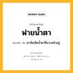 ฟายน้ำตา หมายถึงอะไร?, คำในภาษาไทย ฟายน้ำตา หมายถึง ก. เอามือเช็ดน้ำตาที่อาบหน้าอยู่.