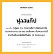 ฟุลสแก๊ป หมายถึงอะไร?, คำในภาษาไทย ฟุลสแก๊ป หมายถึง [ฟุนสะ-] น. กระดาษสีขาว มีเส้นบรรทัด ขนาดประมาณ ๔๓ ๓๔ เซนติเมตร พับทบกลางใช้สําหรับเขียนหนังสือเป็นต้น. (อ. foolscap).