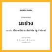 มะข่วง หมายถึงอะไร?, คำในภาษาไทย มะข่วง หมายถึง (ถิ่น-พายัพ) น. ต้นกําจัด. (ดู กําจัด ๑).