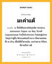 มะค่าแต้ หมายถึงอะไร?, คำในภาษาไทย มะค่าแต้ หมายถึง น. ชื่อไม้ต้นขนาดใหญ่ชนิด Sindora siamensis Teijsm. ex Miq. ในวงศ์ Leguminosae ใบเป็นใบประกอบ ใบย่อยคู่ปลายใหญ่กว่าคู่อื่น ฝักแบนค่อนข้างบาง มีหนามแหลมทั้ง ๒ ด้าน เนื้อไม้สีนํ้าตาลเข้ม, มะค่าหนาม ก็เรียก, อีสานเรียก แต้.