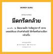 มีดกรีดกล้วย หมายถึงอะไร?, คำในภาษาไทย มีดกรีดกล้วย หมายถึง น. มีดขนาดเล็ก ใบมีดรูปยาวรี ปลายแหลมโค้งงอ ด้ามทำด้วยไม้ ใช้กรีดหรือผ่าเปลือกกล้วยปิ้ง.