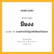 มึนงง หมายถึงอะไร?, คำในภาษาไทย มึนงง หมายถึง ก. งงจนทําอะไรไม่ถูกหรือคิดอะไรไม่ออก.