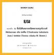 ยม หมายถึงอะไร?, คำในภาษาไทย ยม หมายถึง น. ชื่อไม้ต้นหลายชนิดหลายสกุลในวงศ์ Meliaceae เช่น ยมหิน (Chukrasia tabularis Juss.) ยมหอม (Toona ciliata M. Roem.).