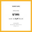 ยาคะ หมายถึงอะไร?, คำในภาษาไทย ยาคะ หมายถึง น. ยัญพิธี. (ป., ส.).