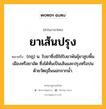 ยาเส้นปรุง หมายถึงอะไร?, คำในภาษาไทย ยาเส้นปรุง หมายถึง (กฎ) น. ใบยาซึ่งมิใช่ใบยาพันธุ์ยาสูบพื้นเมืองหรือยาอัด ซึ่งได้หั่นเป็นเส้นและปรุงหรือปนด้วยวัตถุอื่นนอกจากน้ำ.