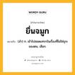 ยื่นจมูก หมายถึงอะไร?, คำในภาษาไทย ยื่นจมูก หมายถึง (สํา) ก. เข้าไปสอดแทรกในเรื่องที่ไม่ใช่ธุระของตน, เสือก.